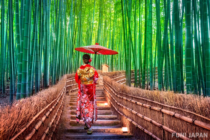 Con đường rừng tre Arashiyama xanh mát thơ mộng