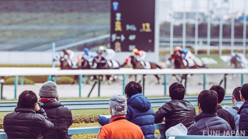 How to Enjoy a Day of Horse Racing in Tokyo