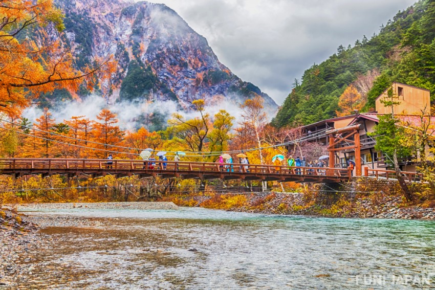 Where to See Autumn Leaves in Nagano