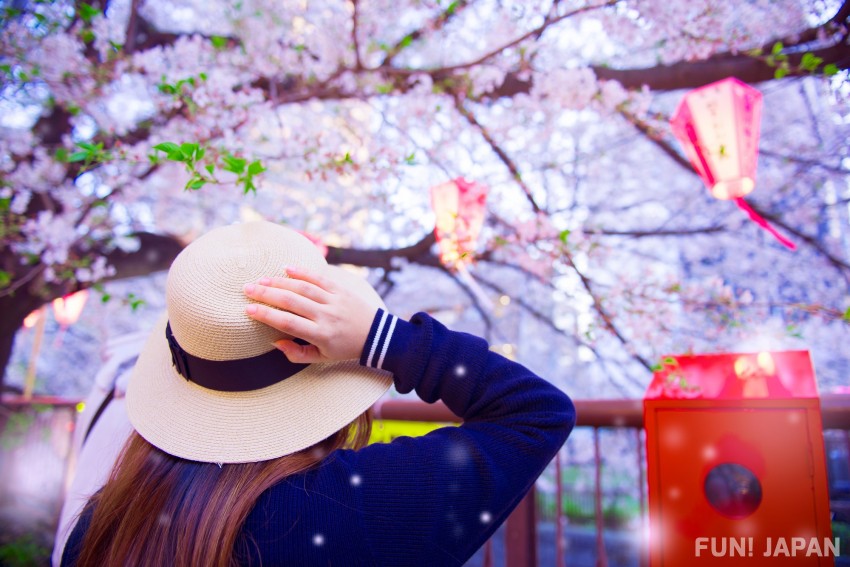 春の風物詩「花見」とは？桜の開花時期、桜の種類などを紹介