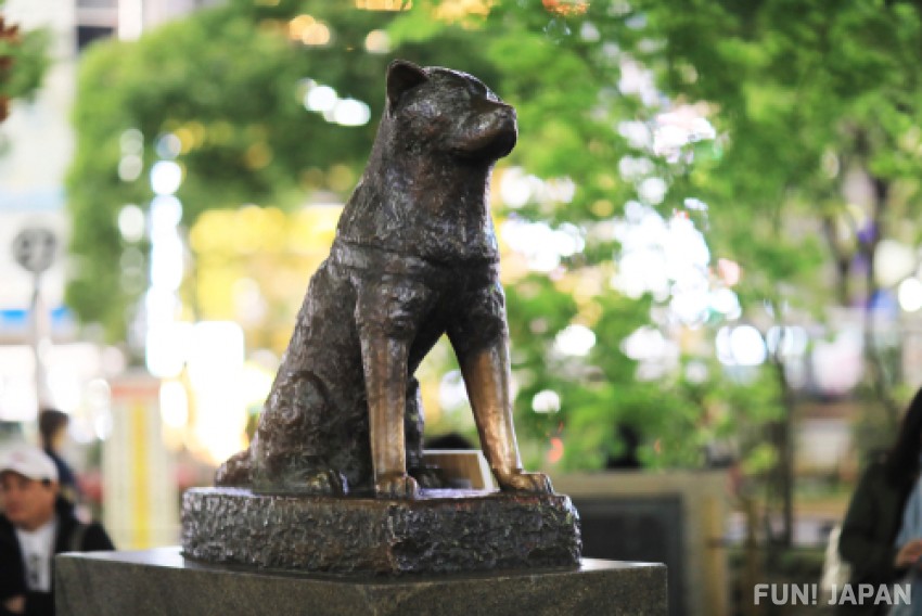 Hachikō, the faithful dog with worldwide recognition