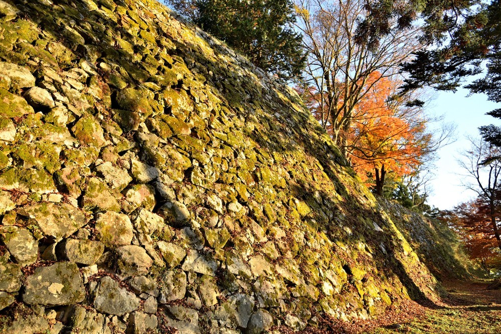 Magnificent stone wall that leaves the forest as it is