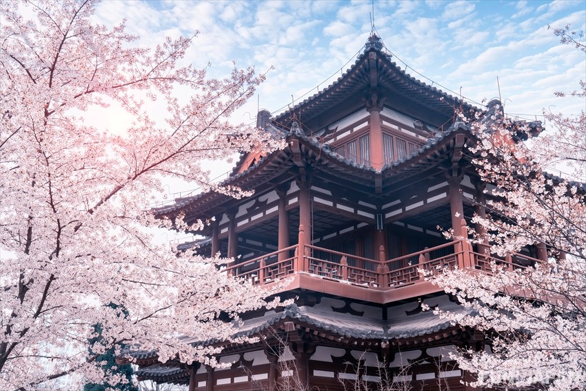 สถาปัตยกรรมแบบราชวงศ์ถังในญี่ปุ่น