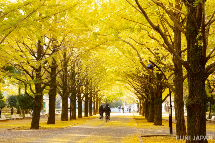 Hikarigaoka Park: What To Do in This Wonderful Green Space