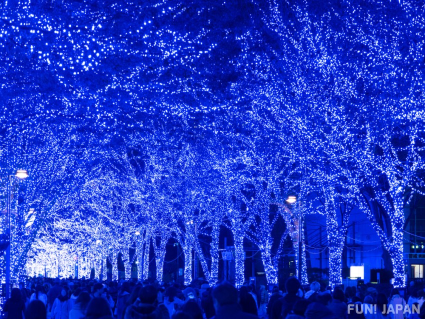What are the Shibuya's Sparkling Blue Cave Illuminations?