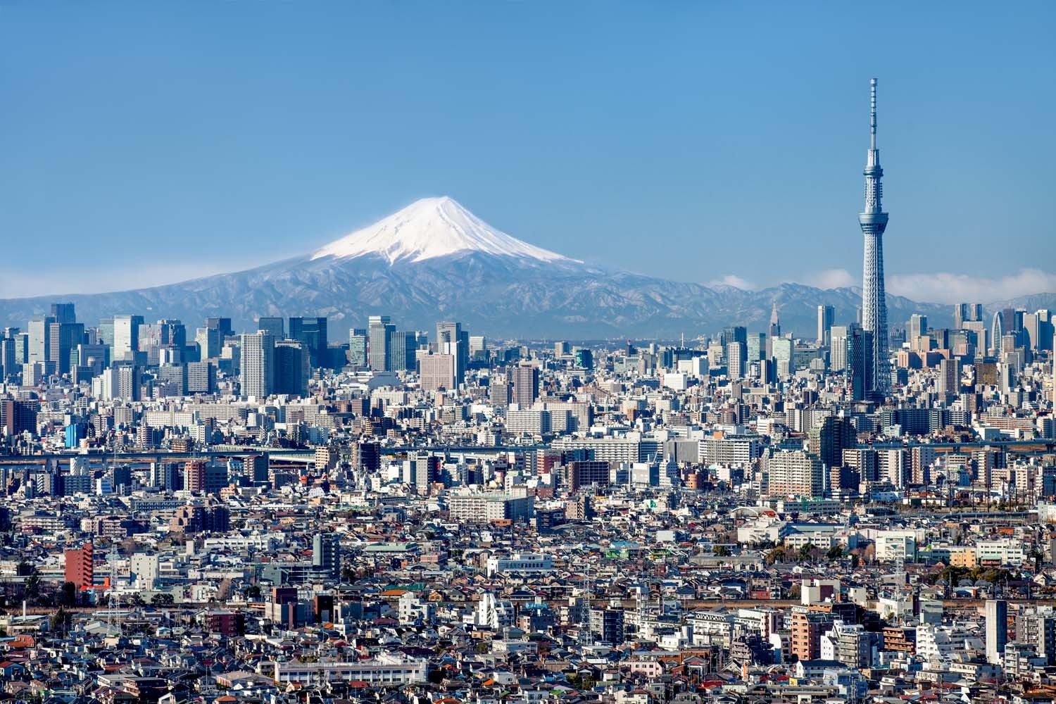 東京スカイツリー 富士山 東京都