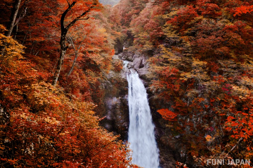 When to Visit Akiu Great Falls