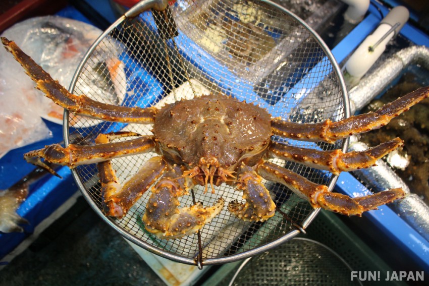 Blue King Crab (アブラガニ, Aburagani)