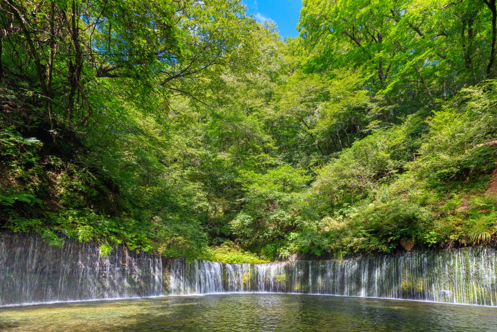 Hòa mình vào thiên nhiên thanh mát tại thác Shiraito, tỉnh Nagano! 