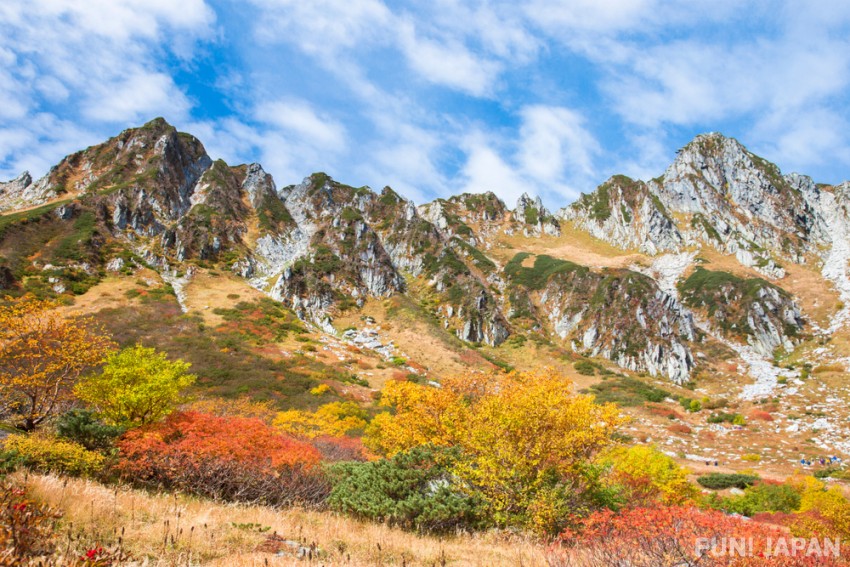 Where to See Autumn Leaves in Nagano