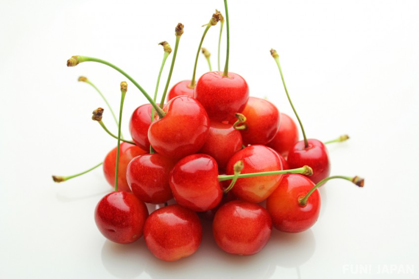Yamagata: Cherries