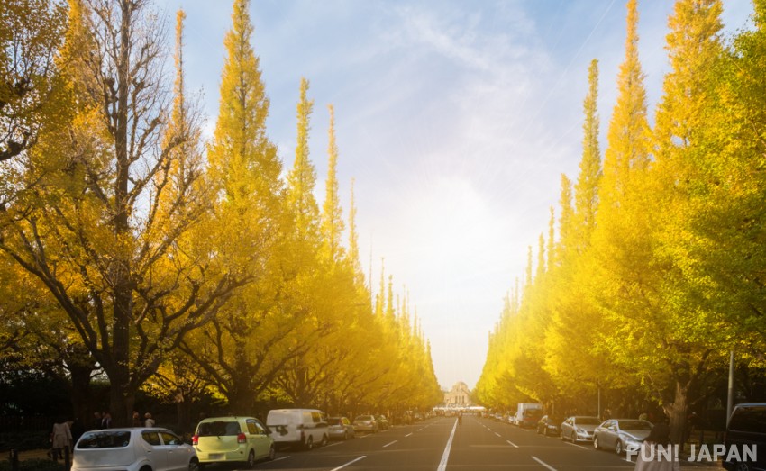 สวนเมจิจินกูไกเอ็น (Meiji Jingu Gaien Park / 明治神宮外苑)