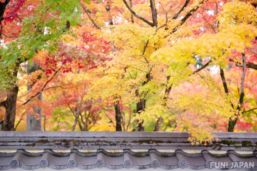 去京都蜜月旅行，住什麼樣的飯店好呢？