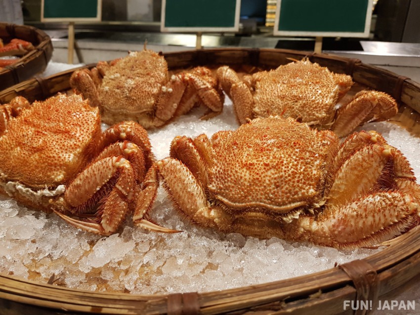Horsehair Crab (毛ガニ, Kegani)