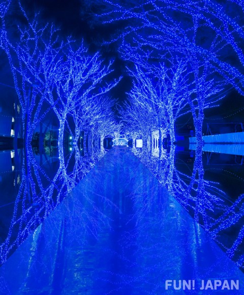What are the Shibuya's Sparkling Blue Cave Illuminations ?