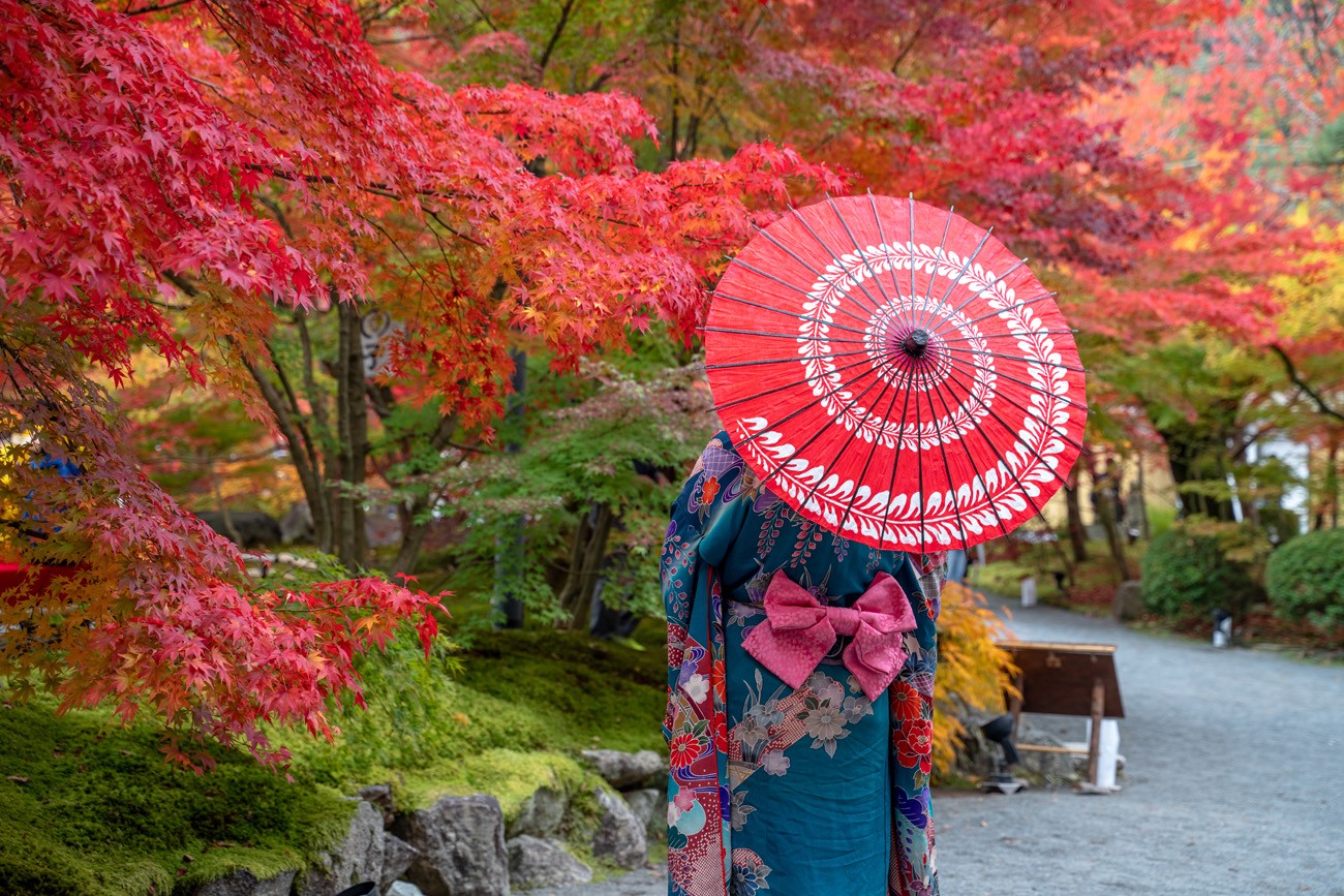 和傘 和服 紅葉