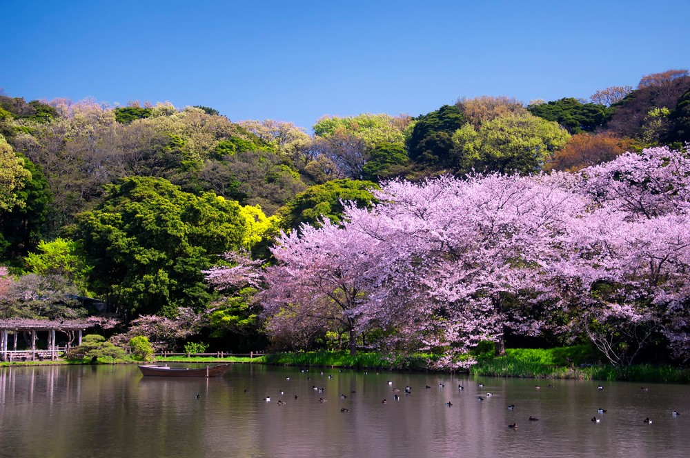 Khám phá vườn Sankeien, kiến trúc đậm chất lịch sử tại Yokohama Nhật Bản
