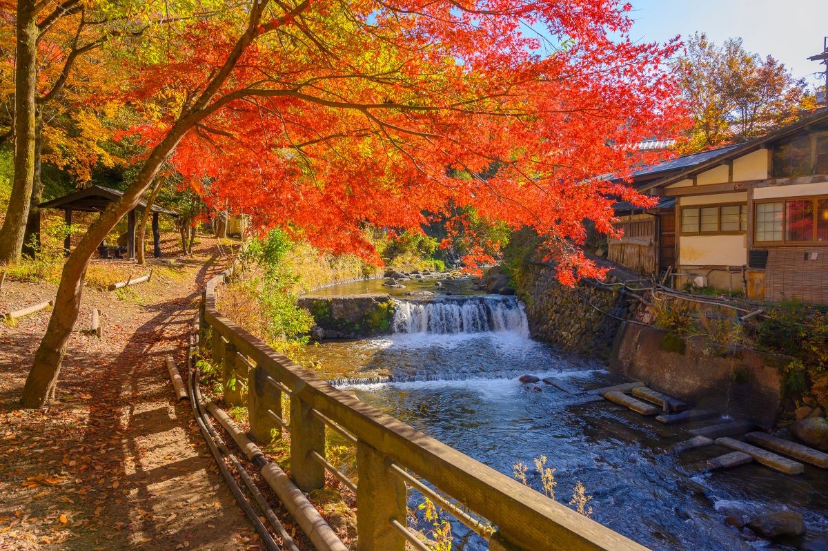 九州地方 紅葉 ベストシーズン