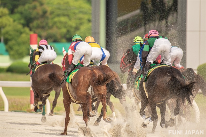 The History of Horse Racing in Japan