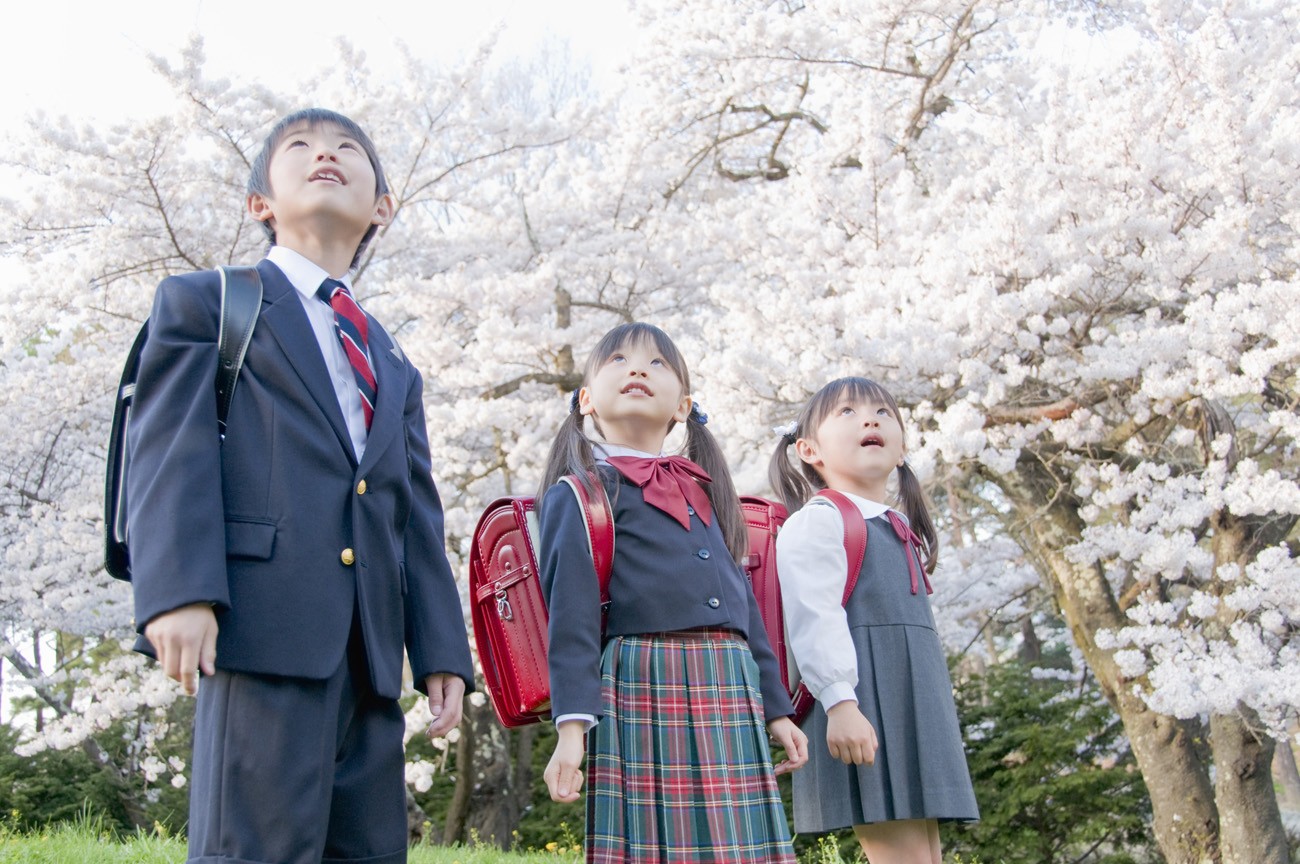 日本学校 学生 入学式 桜