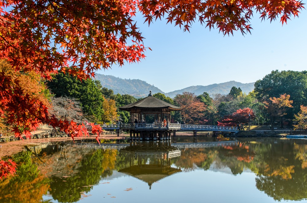Khí hậu & Thời điểm du lịch tại Nara 