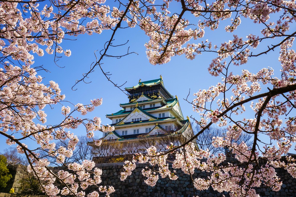 Những địa điểm ngắm hoa anh đào tại Osaka - Thành Osaka