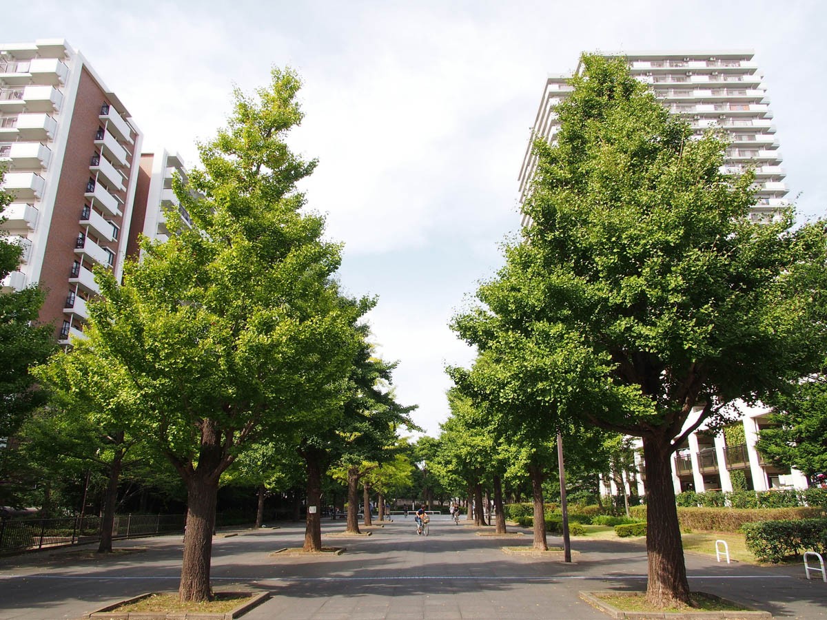 東京適合居住的地區 練馬區