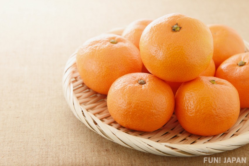 和歌山：かき、みかん - Wakayama: Persimmons, Mandarins