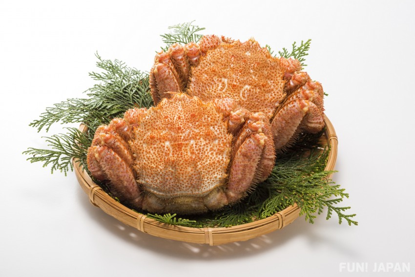 毛ガニ / Kegani（KeganiHorsehair Crab）