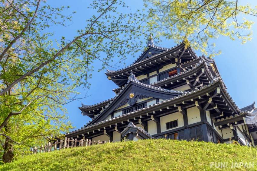 Thành Takada: Di sản ngắm hoa anh đào về đêm bật nhất tỉnh Niigata, Nhật Bản