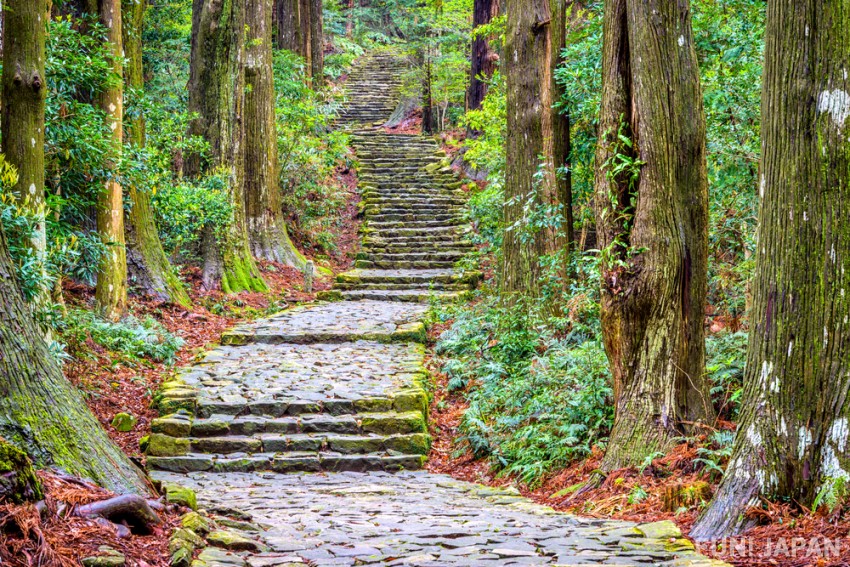 How Awesome if You Travel to Wakayama in Japan!