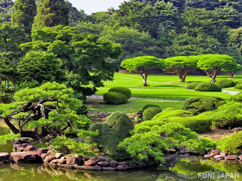 What is the Japanese Holiday Greenery Day?