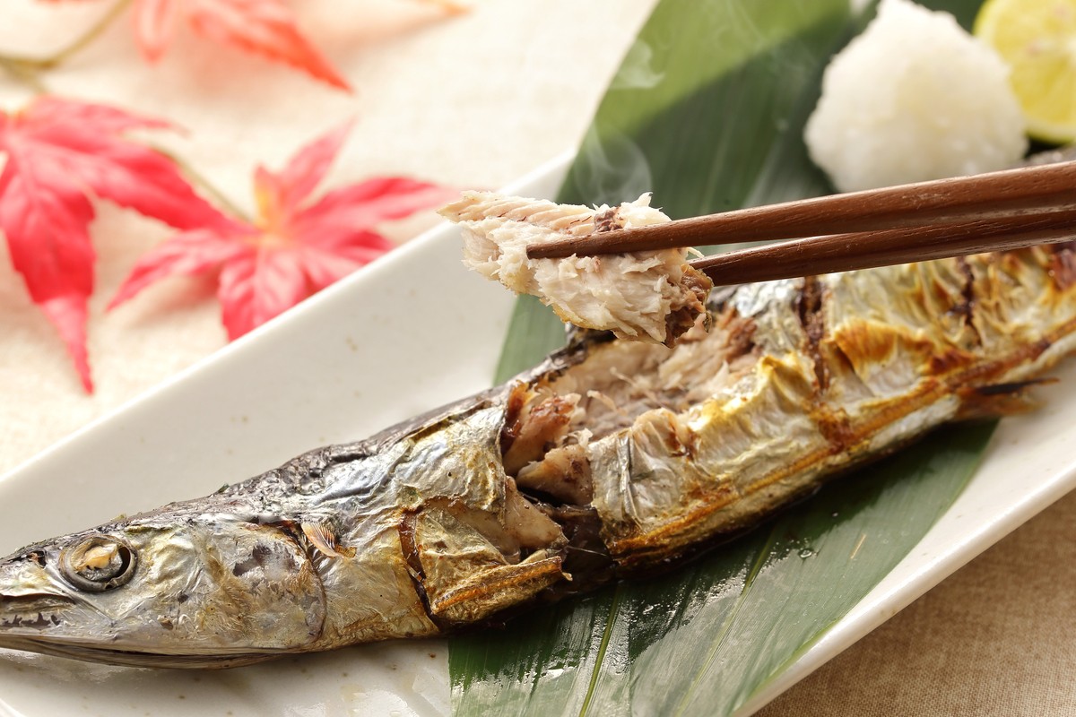 Ikan Musim Gugur Sanma