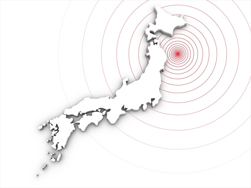 The Japanese Earthquake Measurement System
