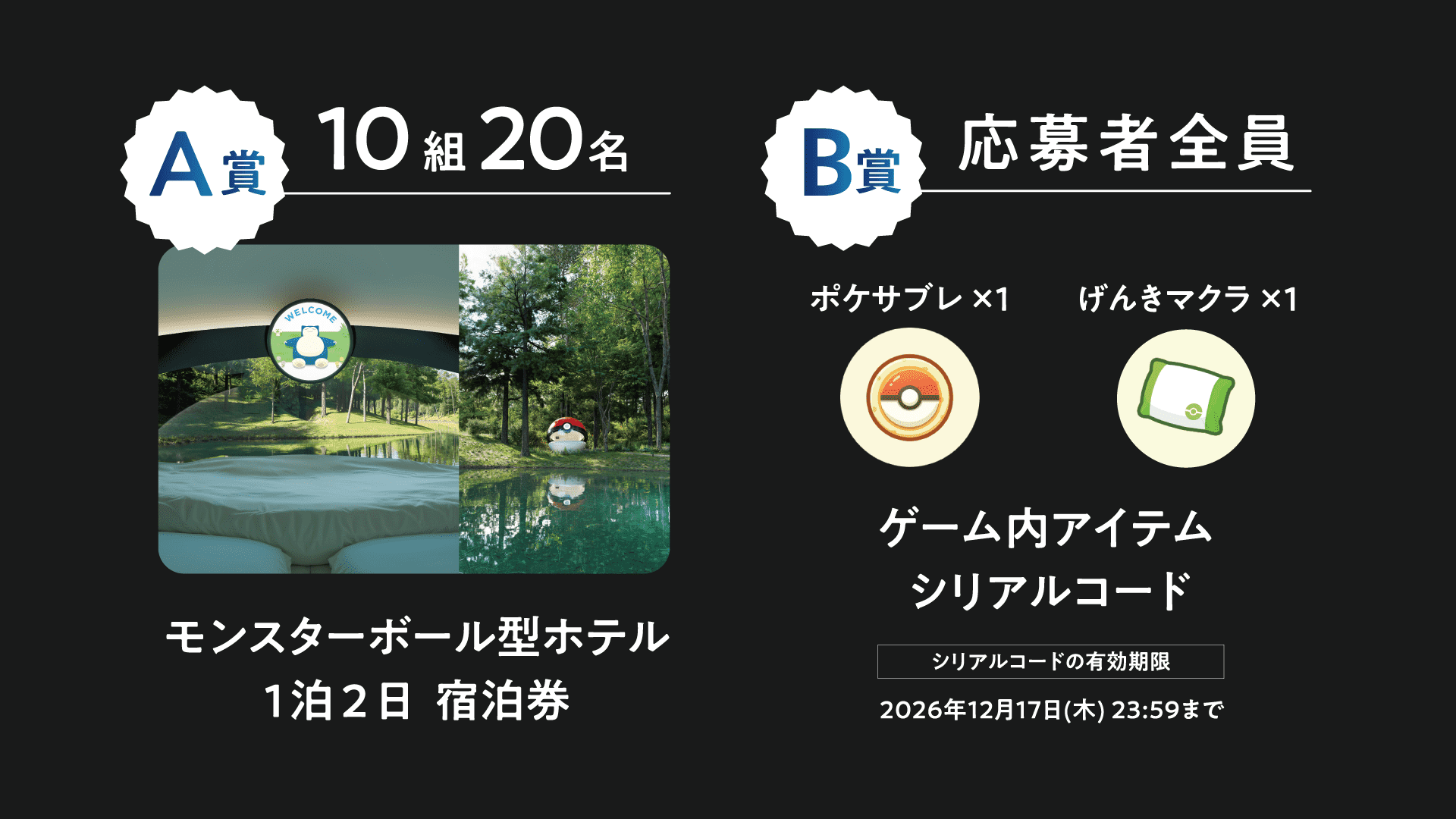 Pokémon Sleep 遊戲內道具示意圖