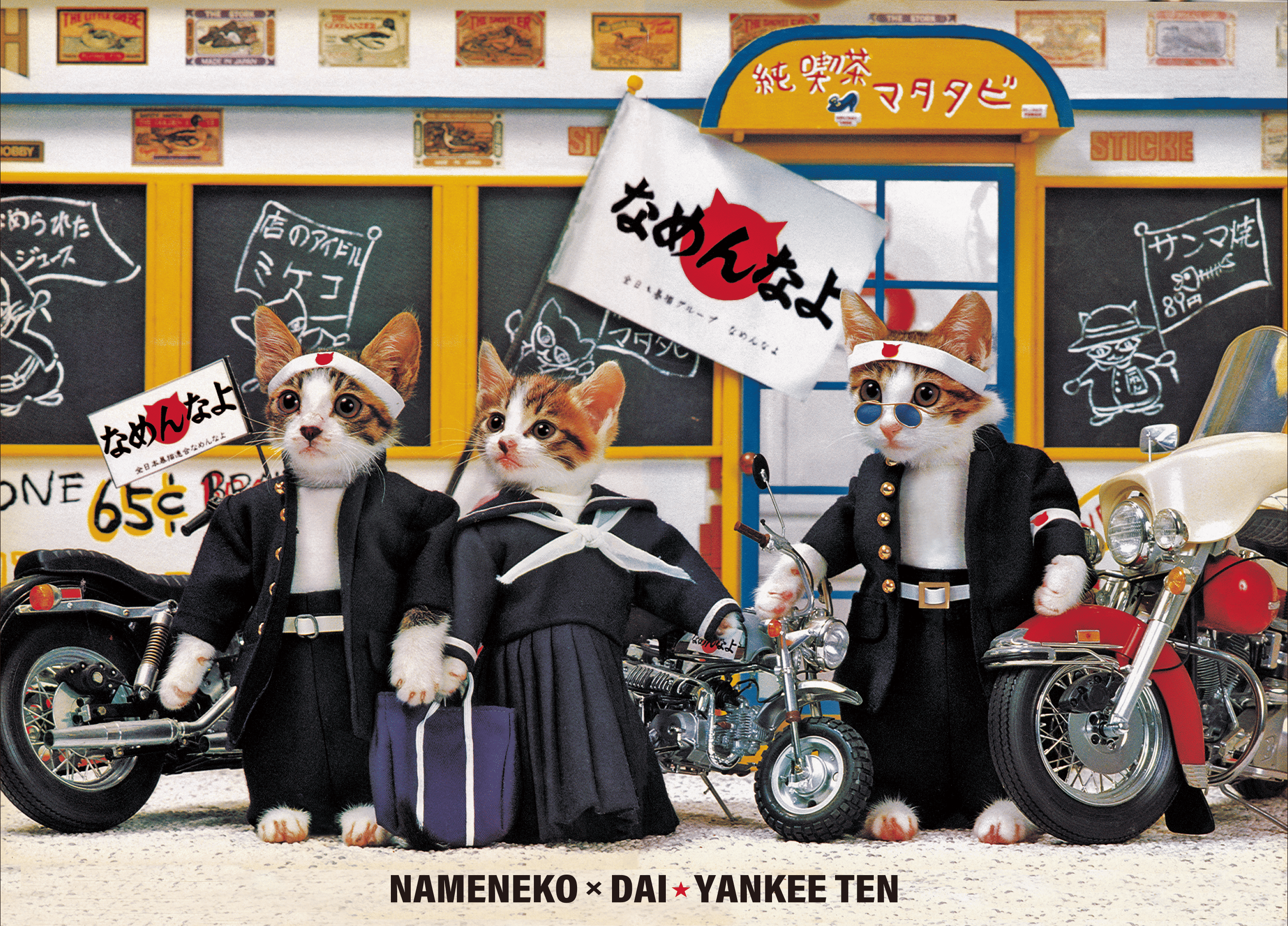Namennayo Cats