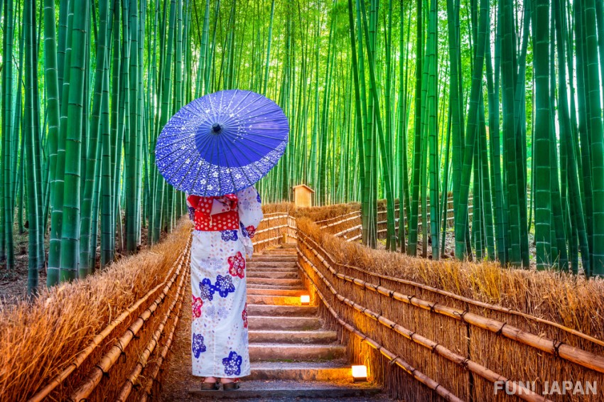 3 Recommended Photo Shooting Backgrounds for Summer Kimono