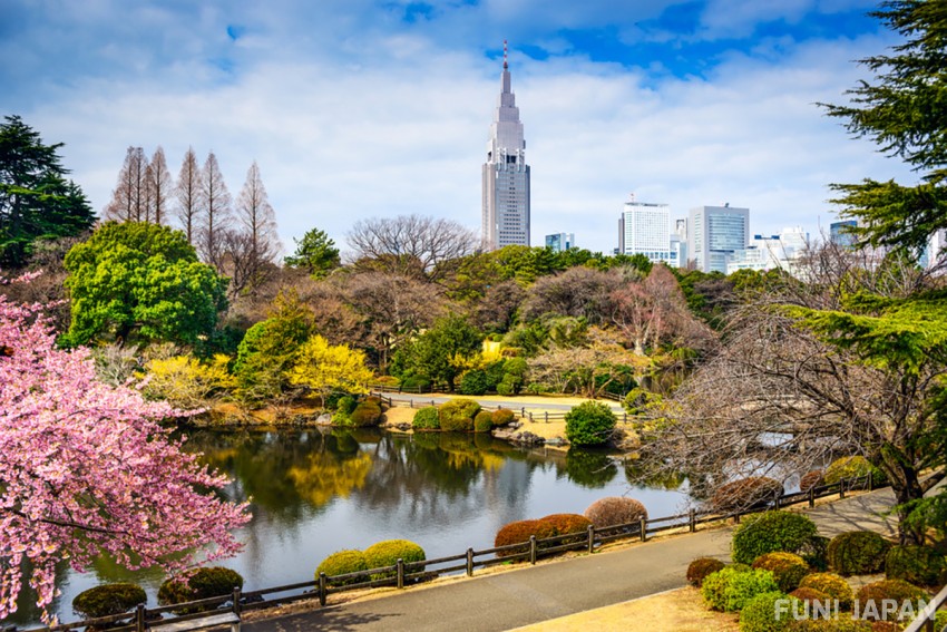 Recommended Natural Spots or Scenic Sightseeing Spots in Tokyo