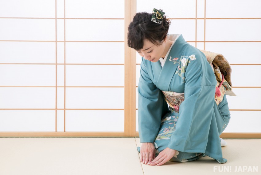 Japanese Women's Traditional Kimono Yukata inner under wear Bra Pink Japan 