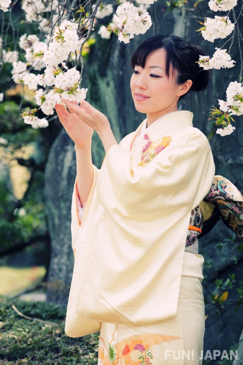 Seasons when Yellow Kimono Shines