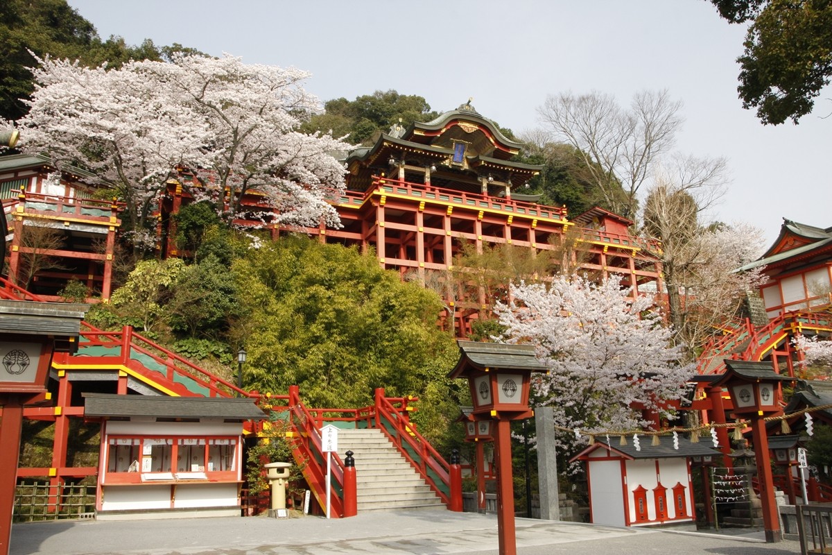 What are the Highlights of Saga Prefecture's Yutoku Inari Shrine? 